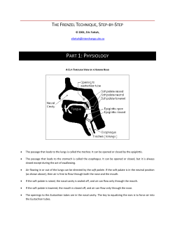 part 1: physiology - Performance Freediving International