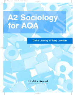 Politics Chapter - Sociology Central