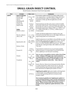 SMALL GRAIN INSECT CONTROL