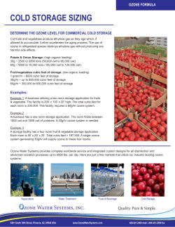 OZONE FORMULA COLD STORAGE SIZING