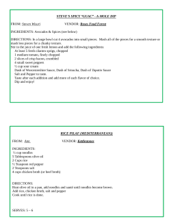 STEVE`S SPICY &ldquo;GUAC&rdquo; - A-MOLE DIP FROM