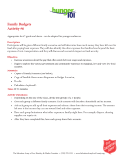 Activity 6 - Family Budgets