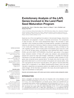 Evolutionary Analysis of the LAFL Genes Involved in the Land Plant