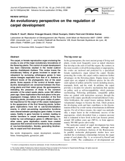 An evolutionary perspective on the regulation of carpel development