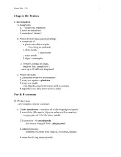 Chapter 28 / Protists I. Introduction Part I: Protozoans II. Protozoans