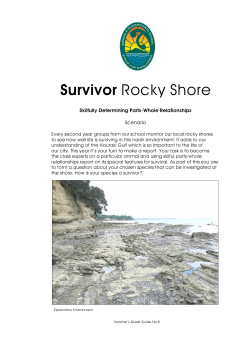 Survivor Rocky Shore - Birkdale Intermediate School