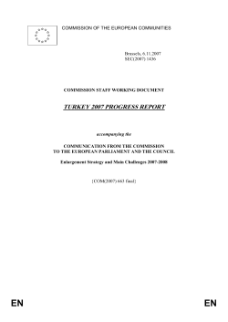 TURKEY 2007 PROGRESS REPORT