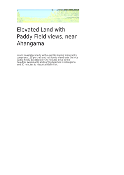 Elevated Land with Paddy Field views, near Ahangama