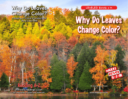 Why leaves change colors level M