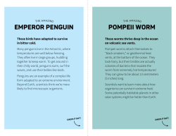 EMPEROR PENGUIN POMPEII WORM