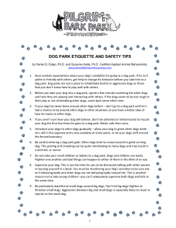 DOG PARK ETIQUETTE AND SAFETY TIPS