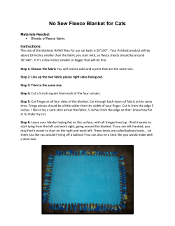 No Sew Fleece Blanket for Cats
