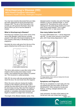 Hirschsprung`s Disease