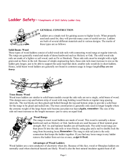 Ladder Safety - WFR Wholesale Fire and Rescue Ltd.