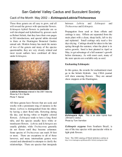 San Gabriel Valley Cactus and Succulent Society