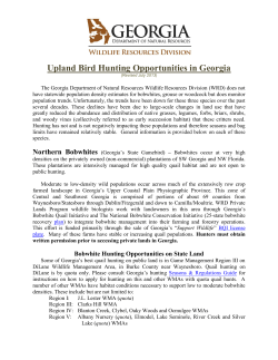 Upland Bird Hunting Opportunities in Georgia
