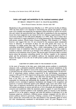 Amino acid supply and metabolism by the ruminant mammary gland