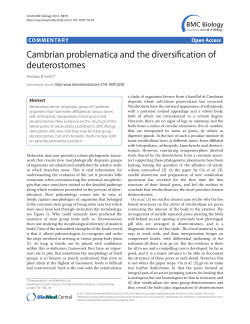 Cambrian problematica and the diversification of deuterostomes