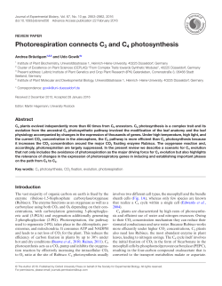 Photorespiration connects C3 and C4