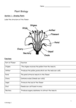 Plant Biology - Alva Academy