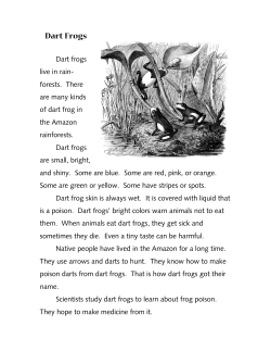 Dart Frogs - Earth`s Birthday Project