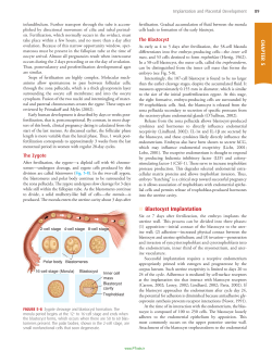 CHAPTER 5 Blastocyst Implantation