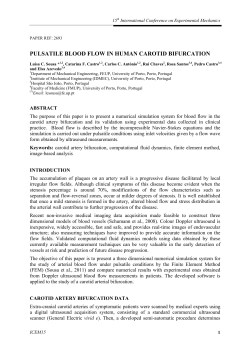PULSATILE BLOOD FLOW IN HUMAN CAROTID BIFURCATION