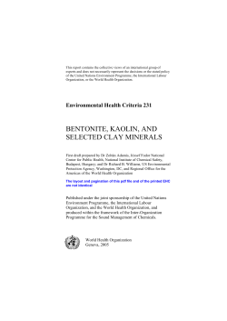 bentonite, kaolin, and selected clay minerals