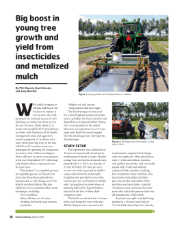 Big boost in young tree growth and yield from
