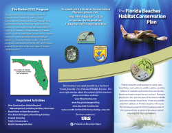 The Florida Beaches Habitat Conservation Plan