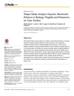 Shape Mode Analysis Exposes Movement Patterns in Biology