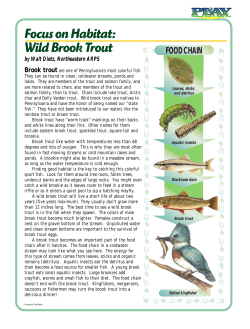Focus on Habitat the Brook Trout