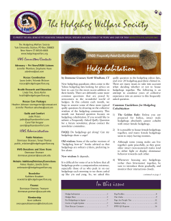 HWS Newsletter Volume 16 - Hedgehog Welfare Society
