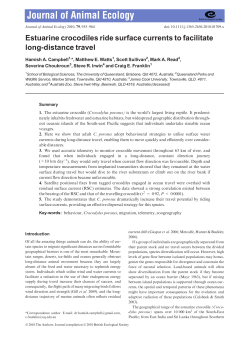 Estuarine crocodiles ride surface currents to facilitate