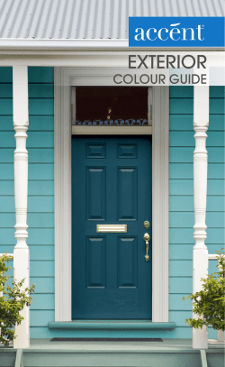 EXTERIOR - Accent - mitre 10 wall painter
