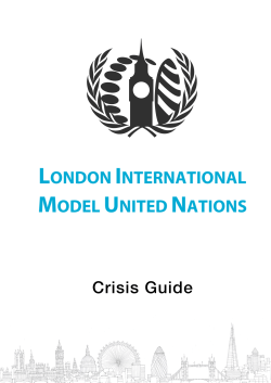 A Guide for Crisis Delegates