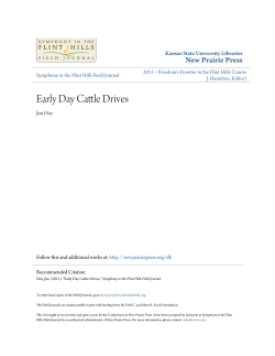 Early Cattle Drives