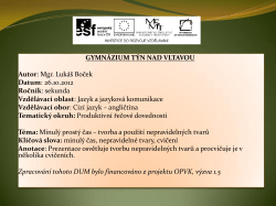 Past simple - Gymn&aacute;zium T&yacute;n nad Vltavou