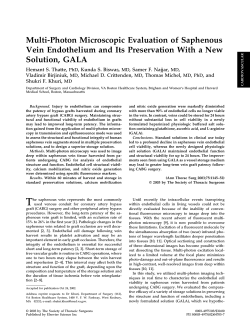 Multi-Photon Microscopic Evaluation of Saphenous Vein