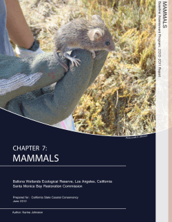 Mammals - Ballona Wetlands Restoration Project