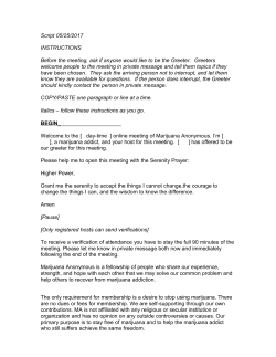 Meeting Script - PDF