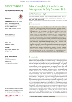 Rates of morphological evolution are heterogeneous in Early