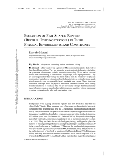 evolution of fish-shaped reptiles (reptilia