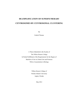 deamplification of supernumerary centrosomes by centrosomal