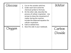Carbon Dioxide Water Glucose Oxygen - Science