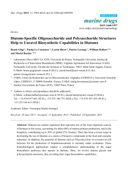 Diatom-Specific Oligosaccharide and Polysaccharide Structures