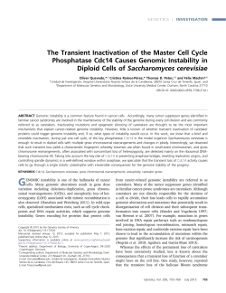 The Transient Inactivation of the Master Cell Cycle