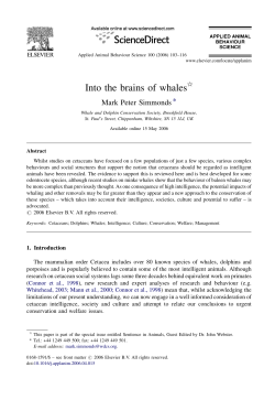 Into the brains of whales&sect;