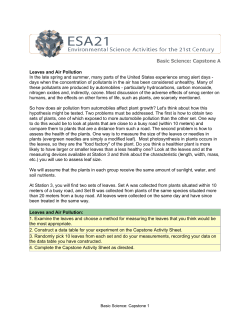 Leaves and Air Pollution