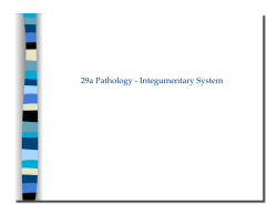 29a Pathology - Integumentary System